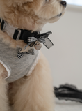 Load image into Gallery viewer, My Favorite Color Collar - Black