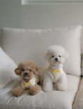 Load image into Gallery viewer, My Favorite Color Sleeveless - Yellow