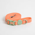 Load image into Gallery viewer, Waterproof Hands-free Leash (Macaron)