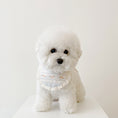 Load image into Gallery viewer, Little Forest Bib (2 colors)