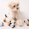 Load image into Gallery viewer, Dog Balls Toys Set