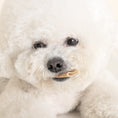 Load image into Gallery viewer, Double Rolly Chew