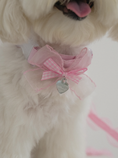 Load image into Gallery viewer, My Favorite Color Collar - Pink