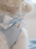 Load image into Gallery viewer, My Favorite Color Collar - Baby Blue