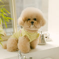 Load image into Gallery viewer, Bebe Frill T-Shirt