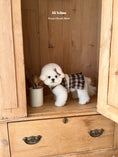 Load image into Gallery viewer, Kona Check Skirt
