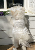 Load image into Gallery viewer, Bubblegum Dream Tutu - White