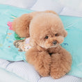 Load image into Gallery viewer, Bite Me x Pokori Friends Cool Mat