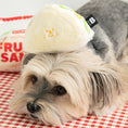 Load image into Gallery viewer, Fruit Sandwich Nosework Toy