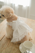 Load image into Gallery viewer, Spring Time Lace Ribbon Dress