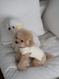 Load image into Gallery viewer, My Favorite Color Sleeveless - Yellow
