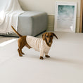 Load image into Gallery viewer, Pet Play Easy Mat 4mm Thickness