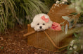 Load image into Gallery viewer, Chamomile Hair Pin