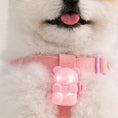 Load image into Gallery viewer, Jelly Bear LED Rechargeable Blinker (3 colours)