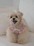 Load image into Gallery viewer, Pink Ballerina Chiffon Skirt