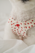 Load image into Gallery viewer, Strawberry Ade Flare Pants