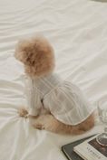 Load image into Gallery viewer, Rocio Necklace Blouse