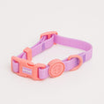 Load image into Gallery viewer, Waterproof Collar (Vivid color)