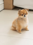 Load image into Gallery viewer, Pet Play Folding Mat 4mm Thickness