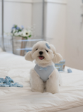 Load image into Gallery viewer, My Favorite Color Ops - Baby Blue
