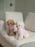 Load image into Gallery viewer, My Favorite Color Ops - Pink