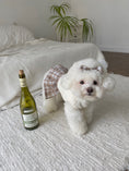 Load image into Gallery viewer, Preppy Acc