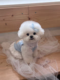 Load image into Gallery viewer, Cupid Bear Ops