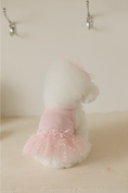 Load image into Gallery viewer, Ballet Core Tutu