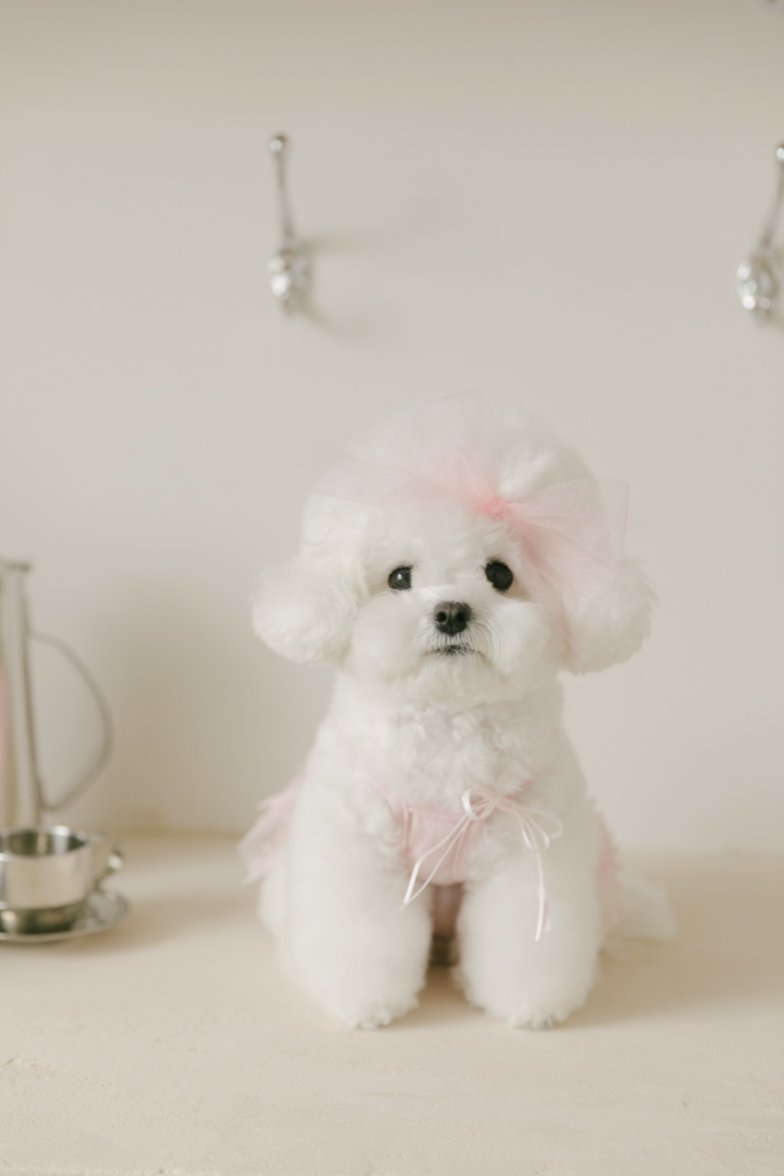Ballet Core Tutu