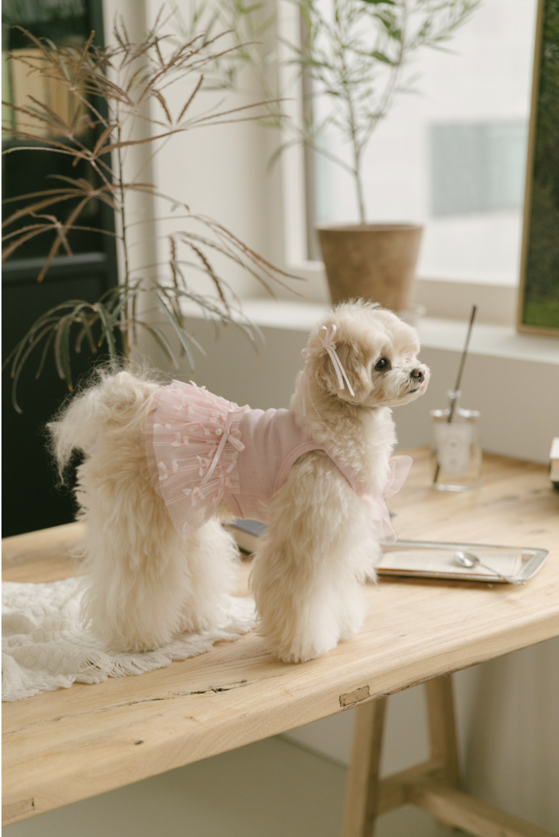 Ballet Core Tutu