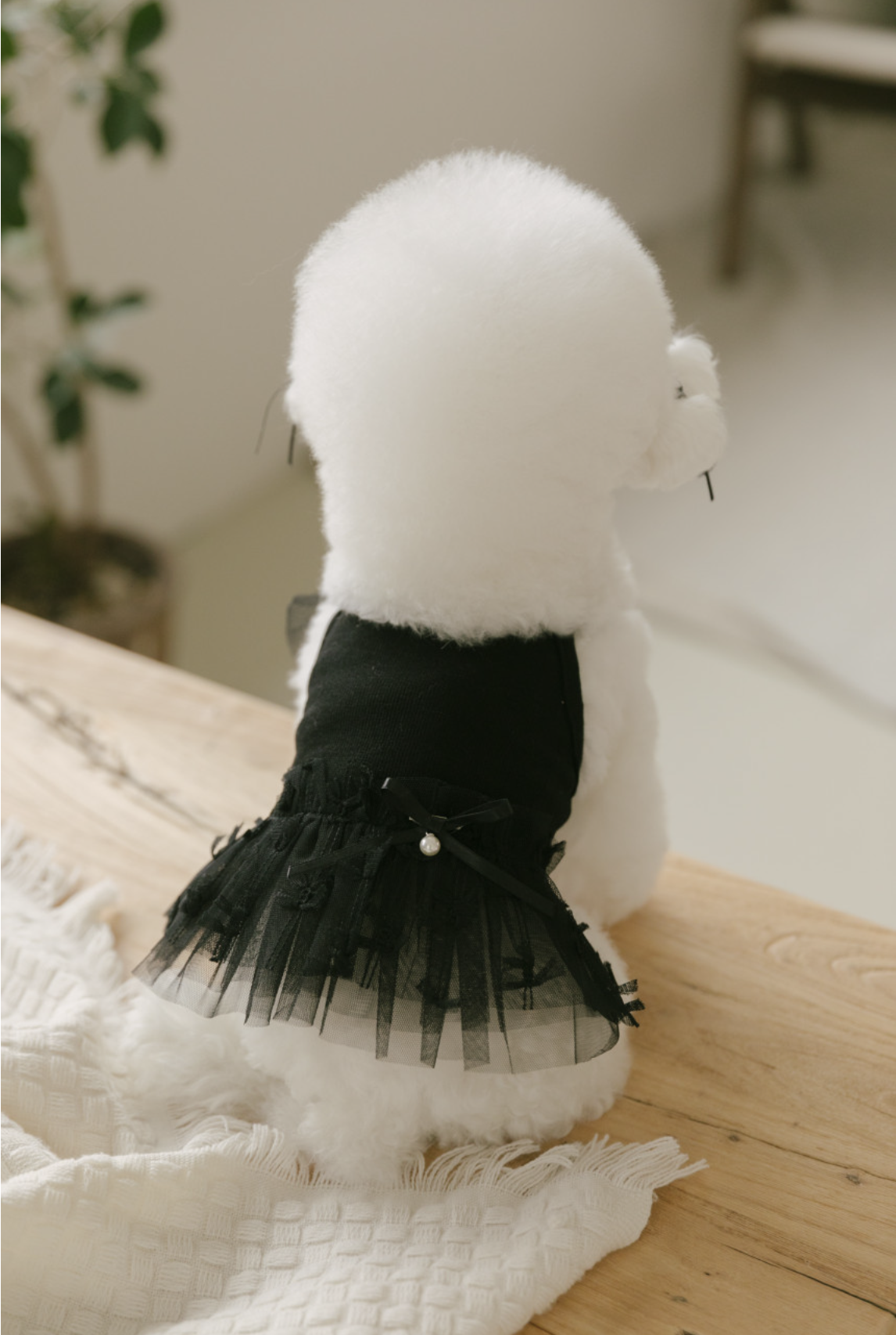 Ballet Core Tutu
