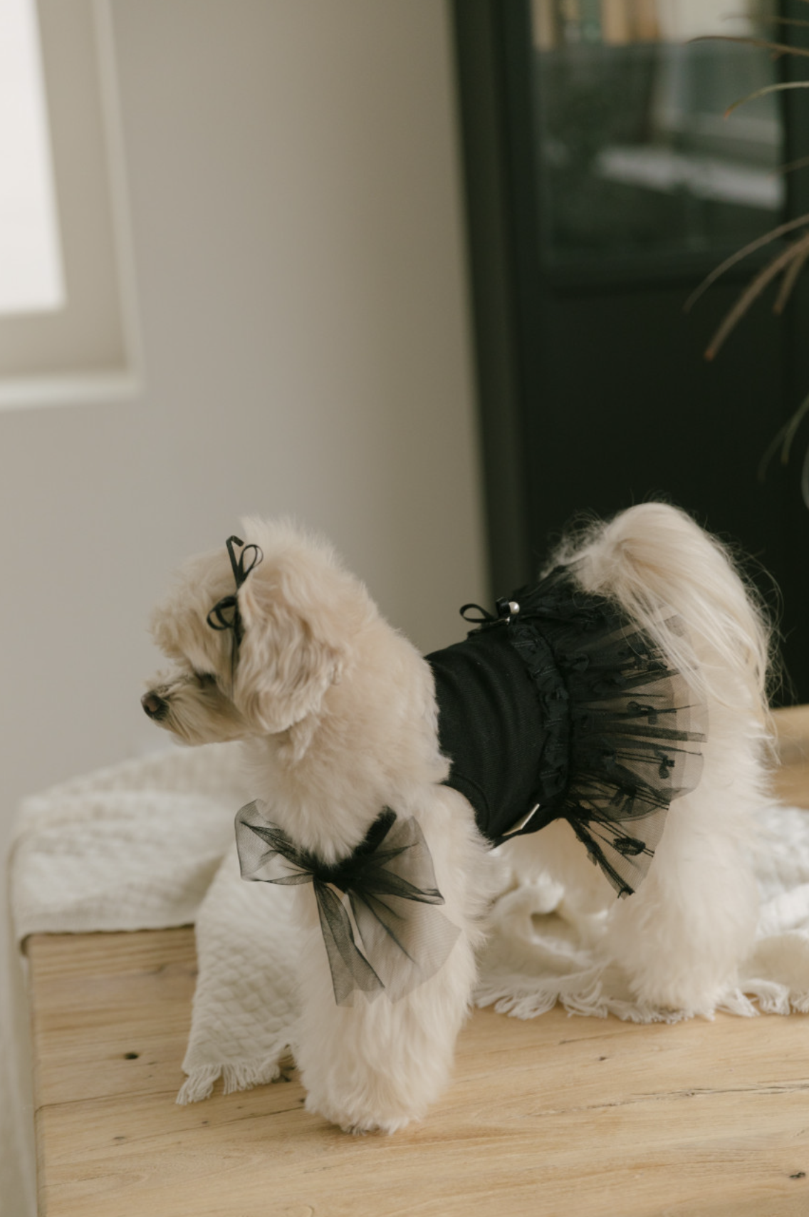 Ballet Core Tutu