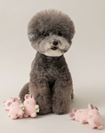 Load image into Gallery viewer, BonBon Green Furry Friends Mini Squeaky Toy