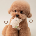 Load image into Gallery viewer, BonBon Green Furry Friends Mini Squeaky Toy