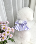 Load image into Gallery viewer, Harness Skirt - Purple