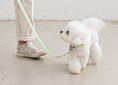 Load image into Gallery viewer, Candy Crayon Collar