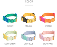 Load image into Gallery viewer, Candy Crayon Collar