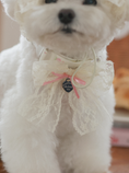 Load image into Gallery viewer, Fall In Love Collar - Lovely Pink