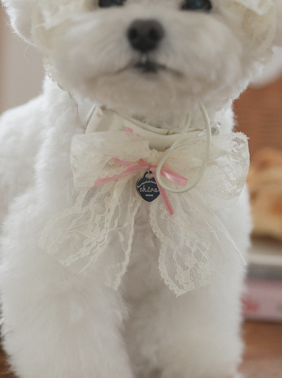 Fall In Love Collar - Lovely Pink