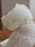 Load image into Gallery viewer, Fall In Love Collar - Lovely Pink