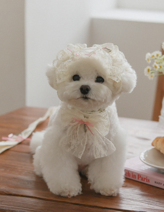 Fall In Love Collar - Lovely Pink