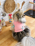 Load image into Gallery viewer, Ribbon Sleeveless Top