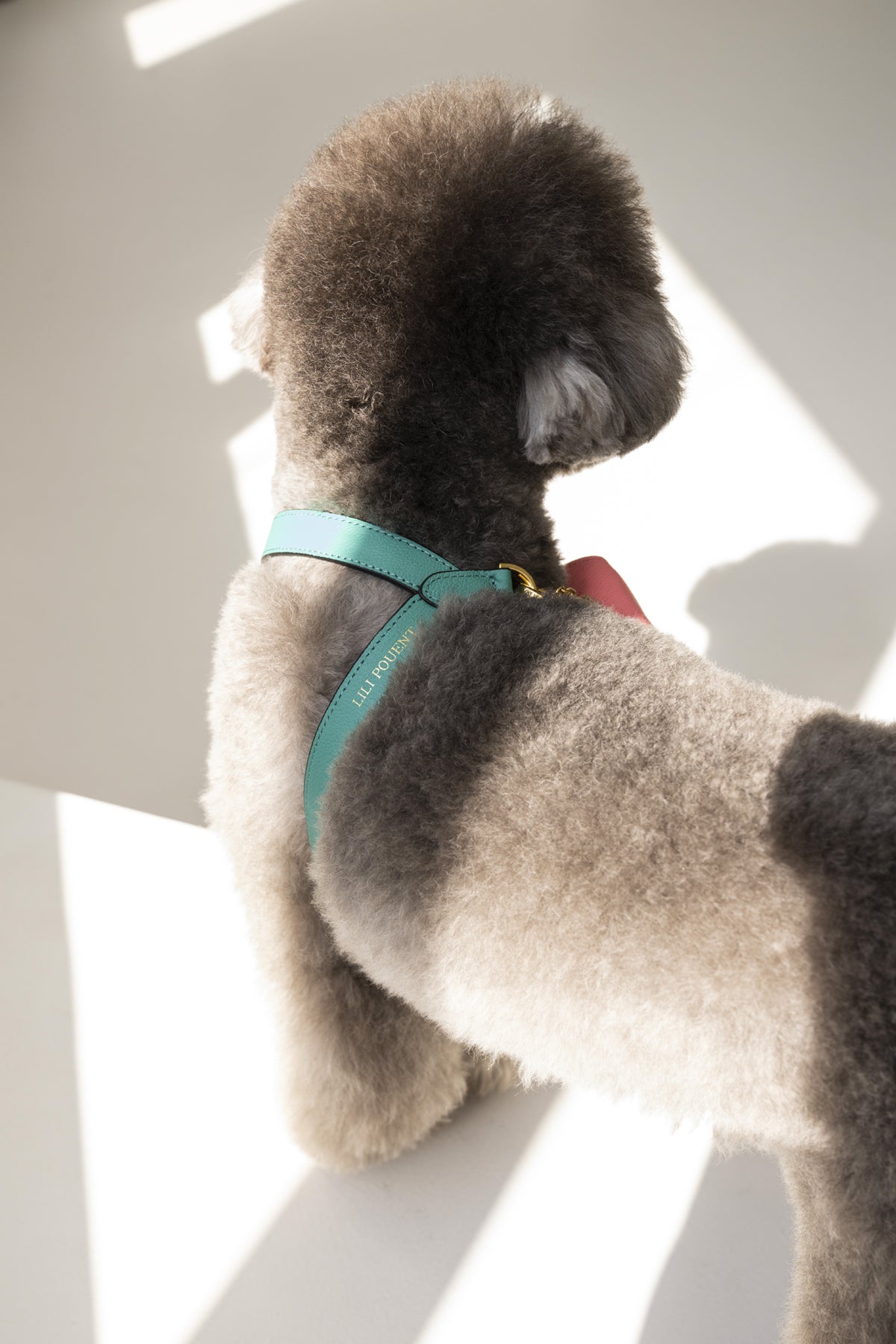 Single Tone VV Harness