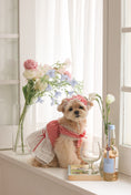 Load image into Gallery viewer, Love Letter Dress