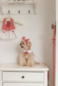 Load image into Gallery viewer, Love Letter Leash