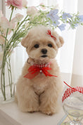 Load image into Gallery viewer, Love Letter Hairpin