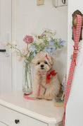 Load image into Gallery viewer, Love Letter Hairpin