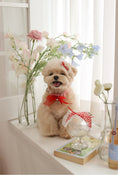 Load image into Gallery viewer, Love Letter Collar