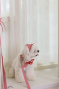 Load image into Gallery viewer, Love Letter Leash
