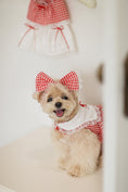 Load image into Gallery viewer, Love Letter Harness